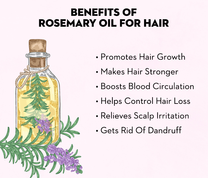 Hair Benefits Of Rosemary Oil - SUGAR Cosmetics