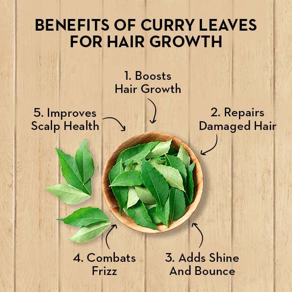 Curry Leaves For Hair Growth - Benefits & Hair Packs