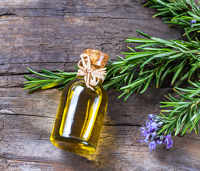 ROSEMARY BENEFITS How This Powerful Plant Can Transform How You Look   Feel  Simply Organics
