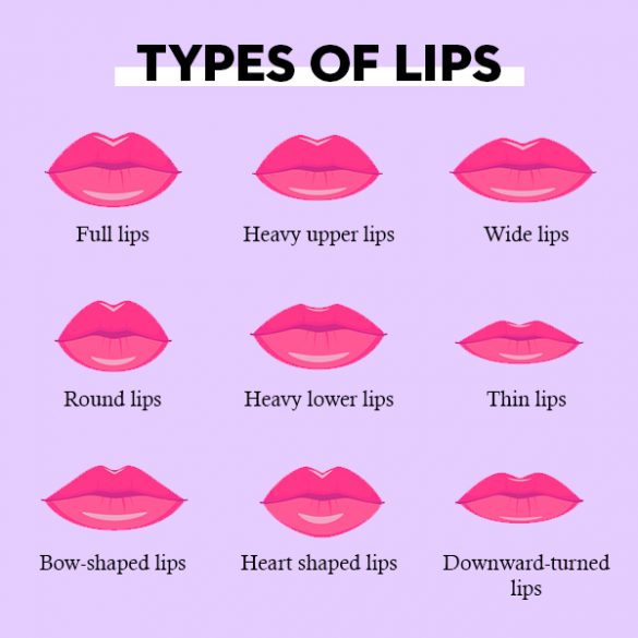 Different Types Of Lips Shapes