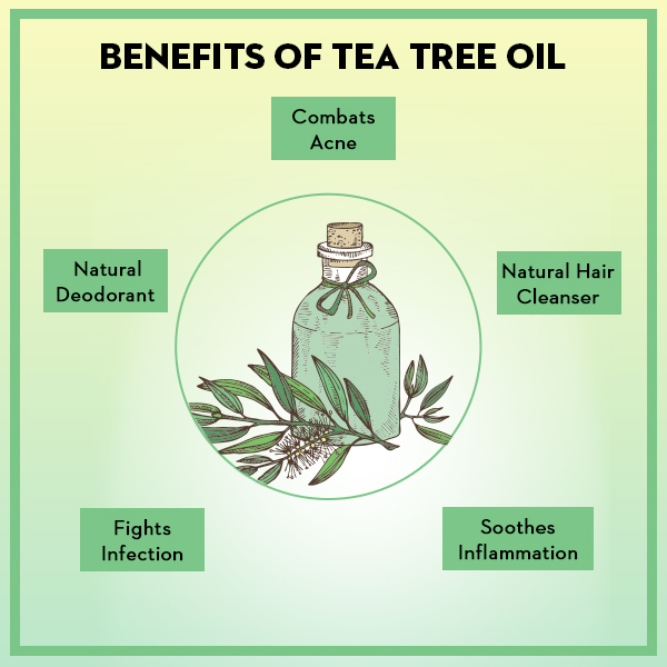 Benefits Of Tea Tree Oil - SUGAR Cosmetics