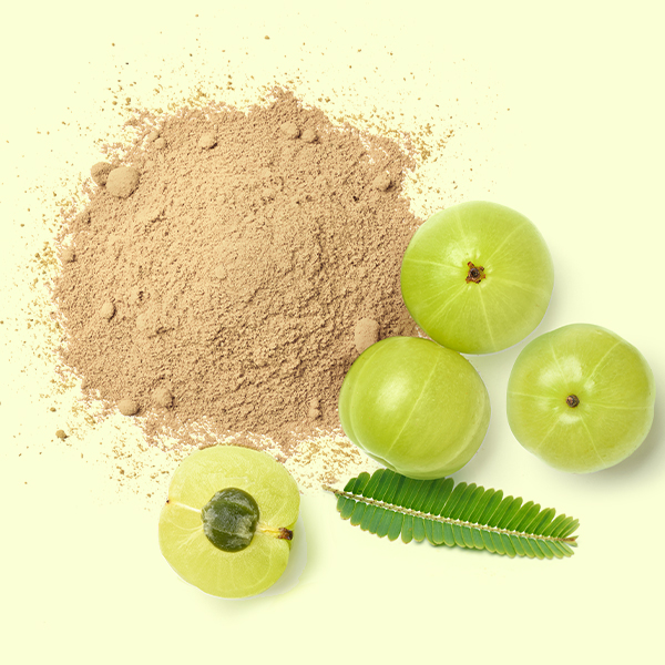 Don't let your hair fall, use amla to make it thick and shiny | Lifestyle  Beauty | English Manorama